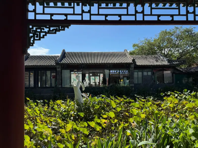 渝中区音迪娱仓储笼与货架组合方案,提升车间空间利用率
